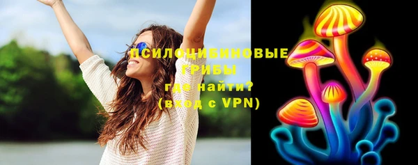 прущий лед Лиски