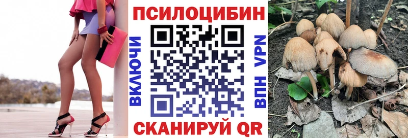 Купить  Саянск  Галлюциногенные грибы мицелий 